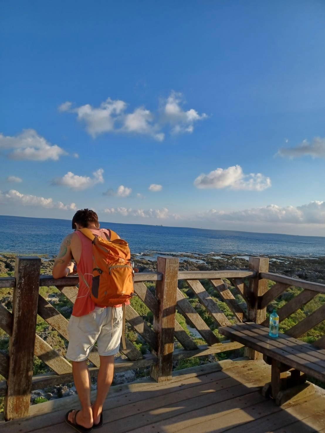 海を見ているはむさん